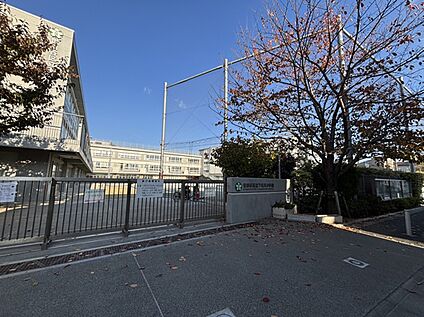 下北沢小学校 約400m(徒歩5分)