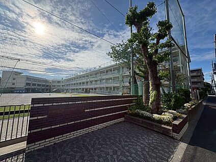 赤堤小学校 560m(徒歩7分)