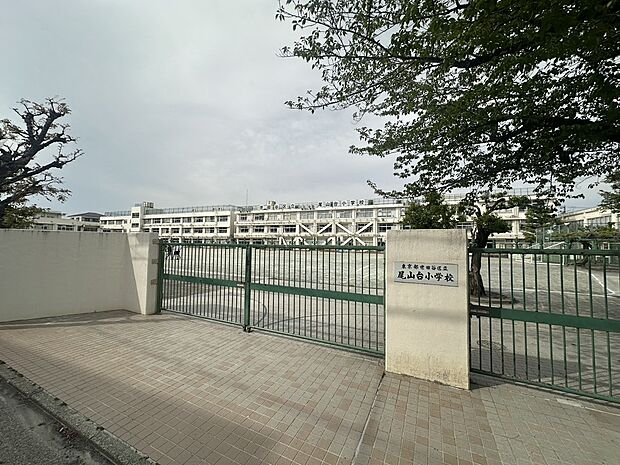 尾山台小学校（約160m）