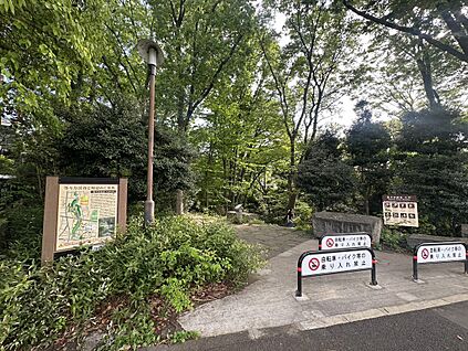 等々力渓谷公園 720m(徒歩9分)