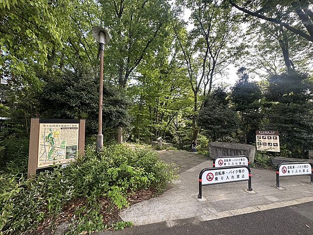 等々力渓谷公園（約720m）