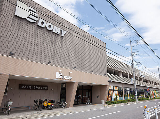 ドミー 岡崎駅東店
