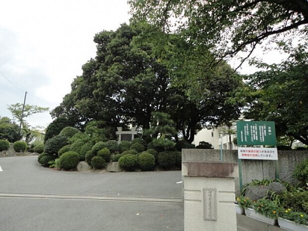 井田小学校