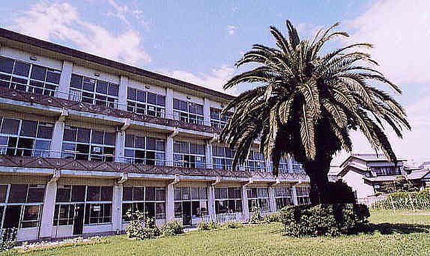 中央小学校