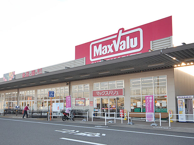 マックスバリュー 幸田店