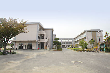福岡小学校 約300～320m(徒歩4分)