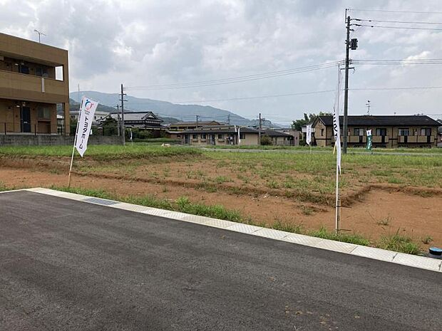 20号地