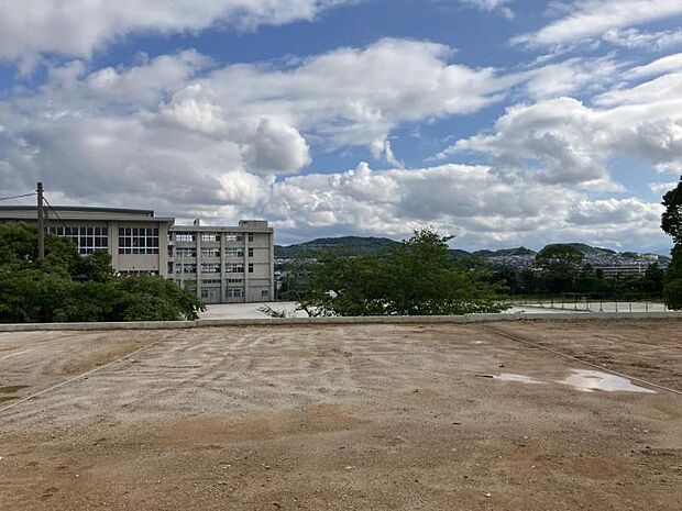 10号地