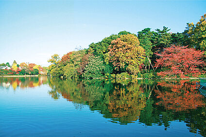 大宮公園（現地より徒歩12分） 約950m