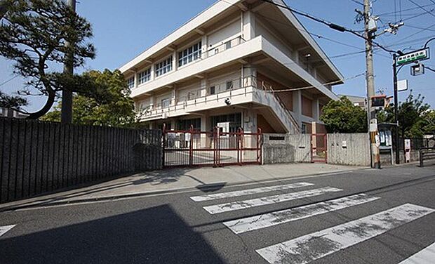 高石市立東羽衣小学校