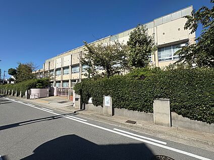 堺市立浜寺昭和小学校 約240m(徒歩3分)