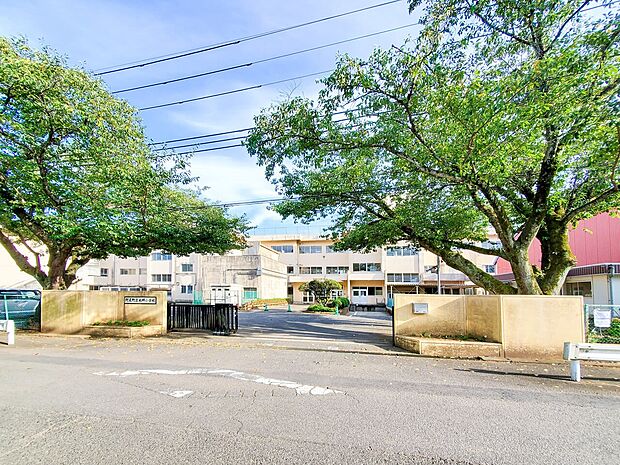 本郷小学校(約560m)