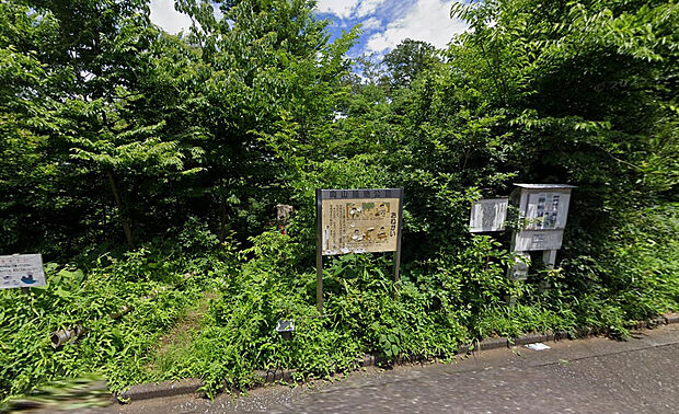 向山緑地公園（約860m）