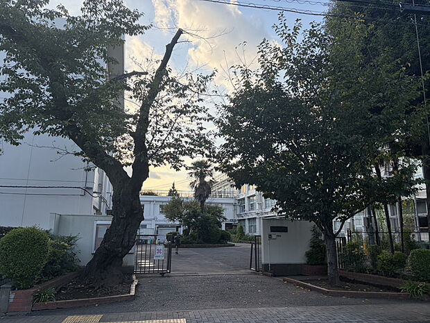 練馬区立中村小学校（約300m）