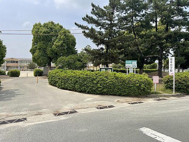 久留米市立荒木小学校（約300m）