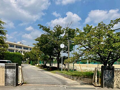 柏市立柏第３中学校 ８６０ｍ～９１０ｍ