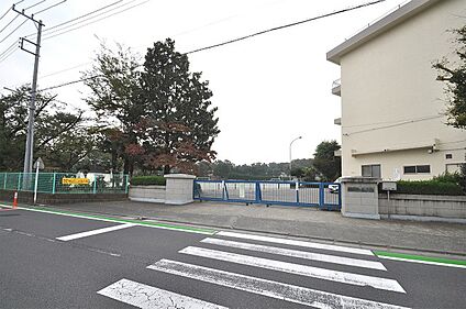 所沢市立若狭小学校 1190ｍ(15分)