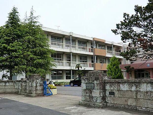 佐倉市立臼井小学校（約655m）