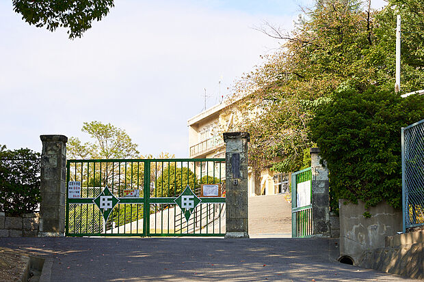 市立石尾中学校(約710m)