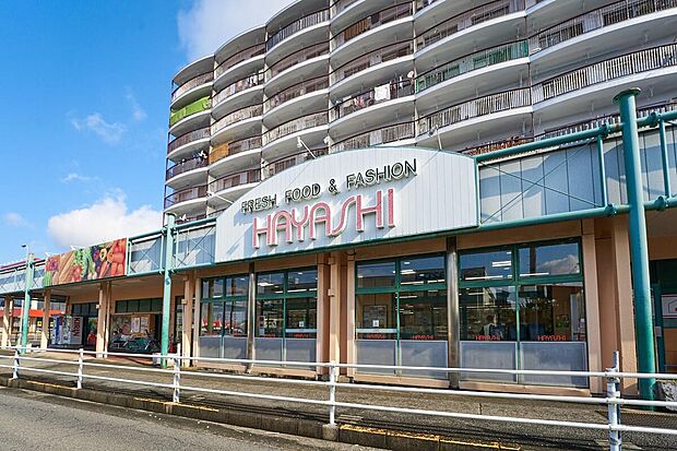 スーパーはやし　富木店（約270m）