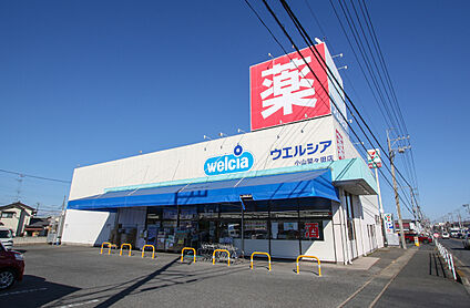 ウエルシア小山間々田店 現地から550m～560m。(徒歩7分。(最長))