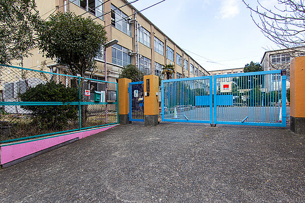 市立大塚小学校（約1m）