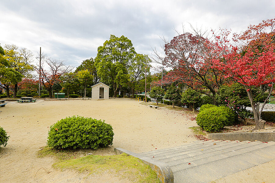 【レジャー】古谷公園