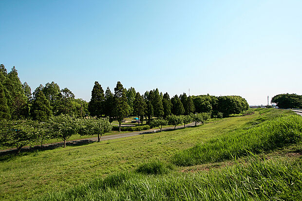 庄内緑地公園