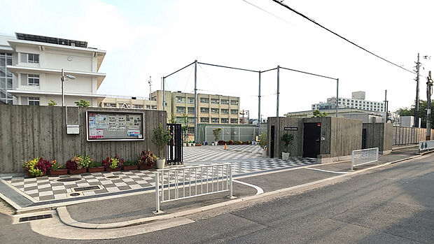 小阪中学校（約800m）