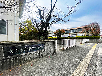 碧南市立中央小学校 約800m(徒歩約10分)