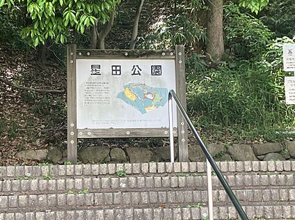 星田公園 250m