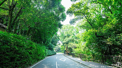植物園通り 現地から290m。(徒歩4分。)