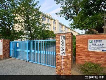 青葉小学校 現地から340m～480m。(徒歩5分～6分。)