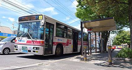 西鉄バス「小芝バス停」 現地から260m～290m。(徒歩4分。(最長))