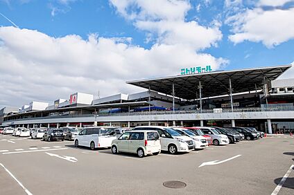 ニトリモール枚方店 1600m(徒歩20分)