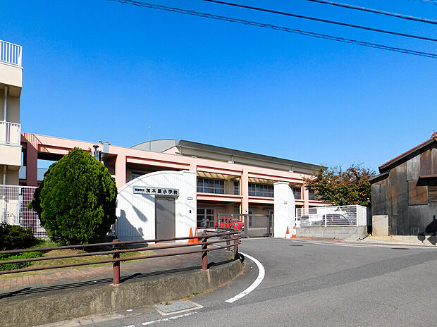 加木屋小学校(約509m)