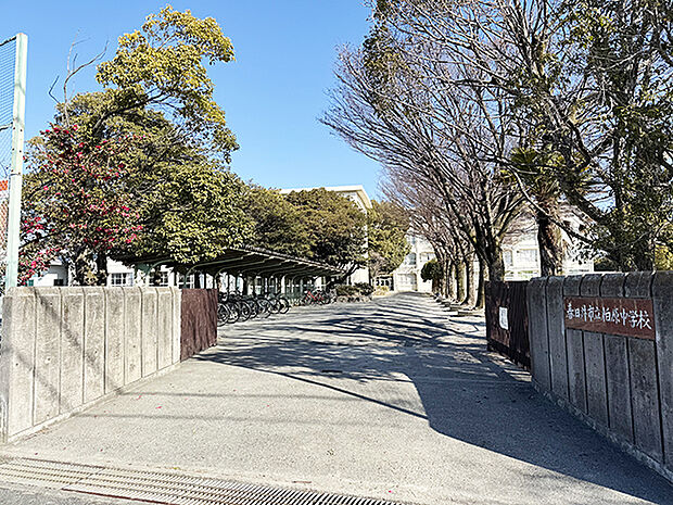 柏原中学校（約950m）