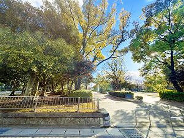 彦田公園