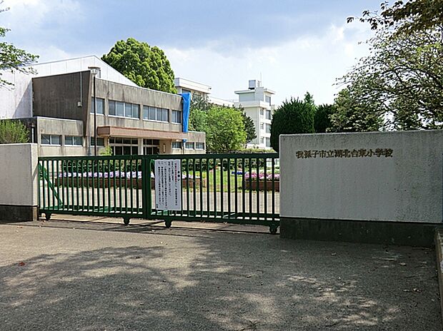 湖北台東小学校　193ｍ