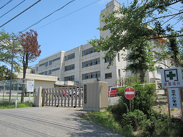 並木小学校（約447m）