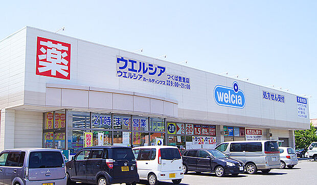 ウエルシア（約333m）