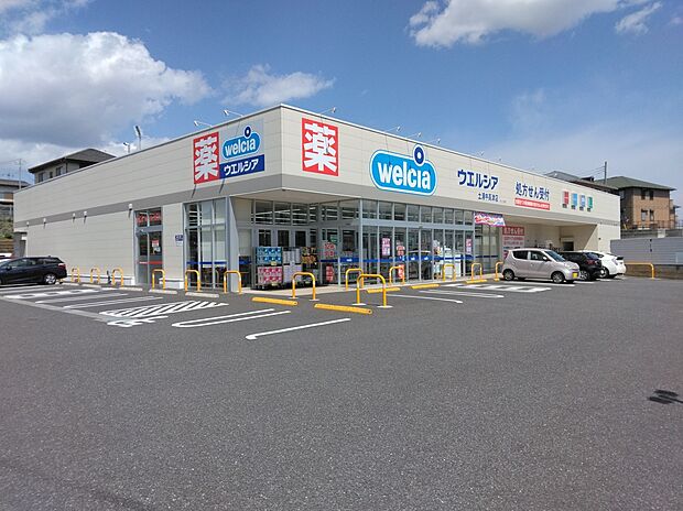 ウエルシア（約590m）