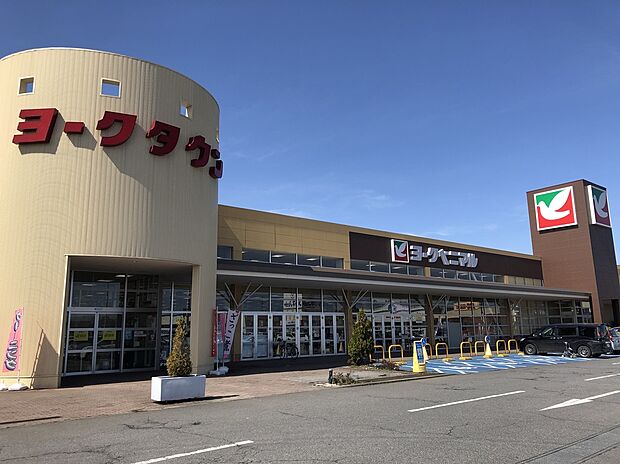 ヨークベニマル(約516m)