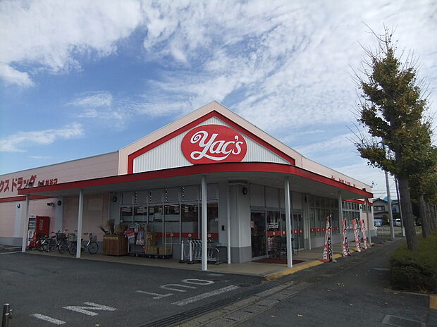 ヤックスドラッグ（約585m）