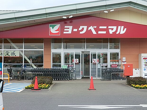 ヨークベニマル(約1,010m)