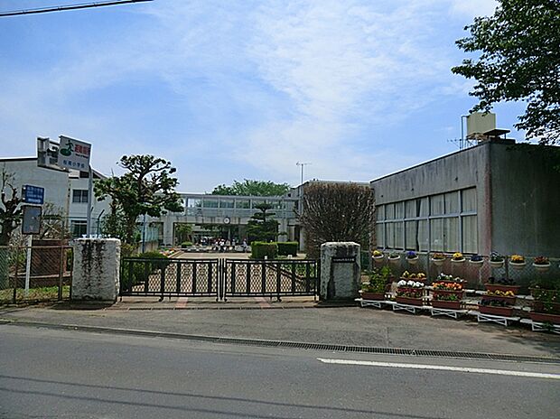 桜南小学校(約670m)