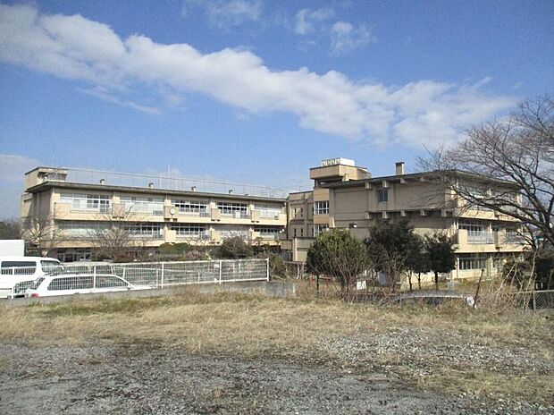 富勢西小学校（約591m）