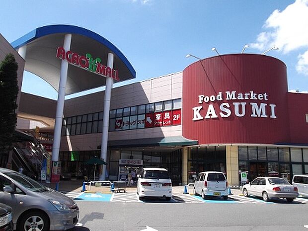 アクロスモール守谷　カスミ（約973m）