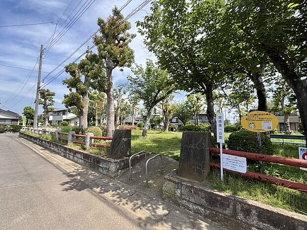 栄西第一公園(約6m)