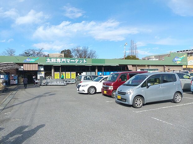 セレクション（約375m）